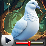 G4K Realistic Pigeon Resc…